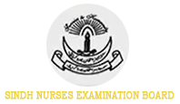 government-of-sindh-nurses-examination-board-sneb