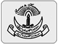 Sindh Nurses Examination Board (SNEB) Logo